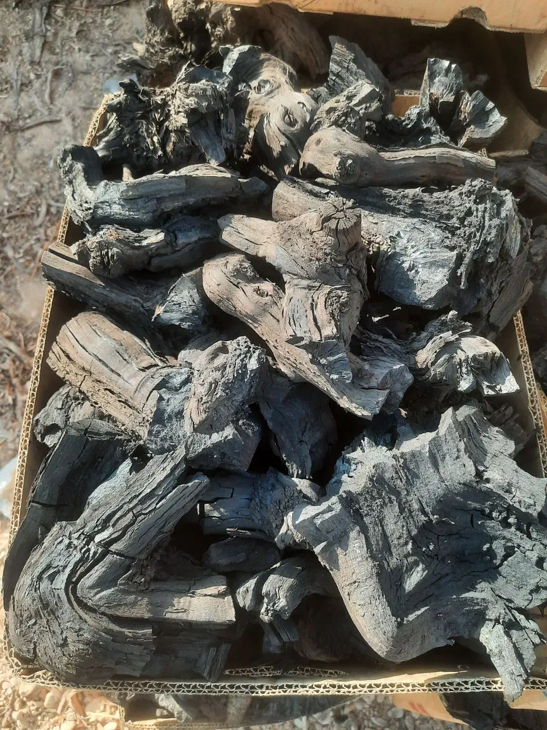 زغال|عمدهفروشی|تاکستان, |دیوار