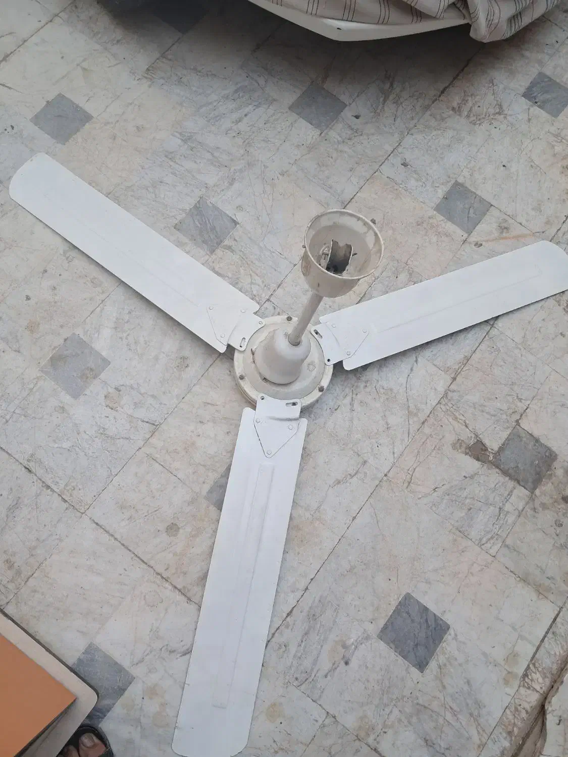 پنگه سقفی|پنکه و تصفیه‌کنندهٔ هوا|قم, شهرک سازمان آب|دیوار