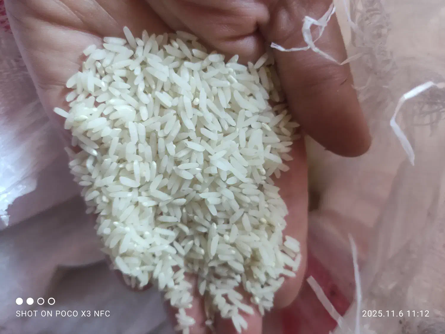 فروش برنج دنوج طارم هاشمی درجه یک|خوردنی و آشامیدنی|بابلسر, |دیوار