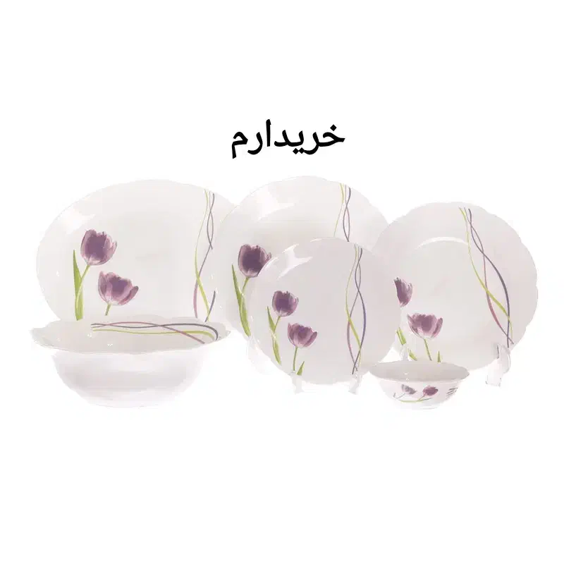 آرکوپال دسینی|ظروف سرو و پذیرایی|قم, نیروگاه|دیوار