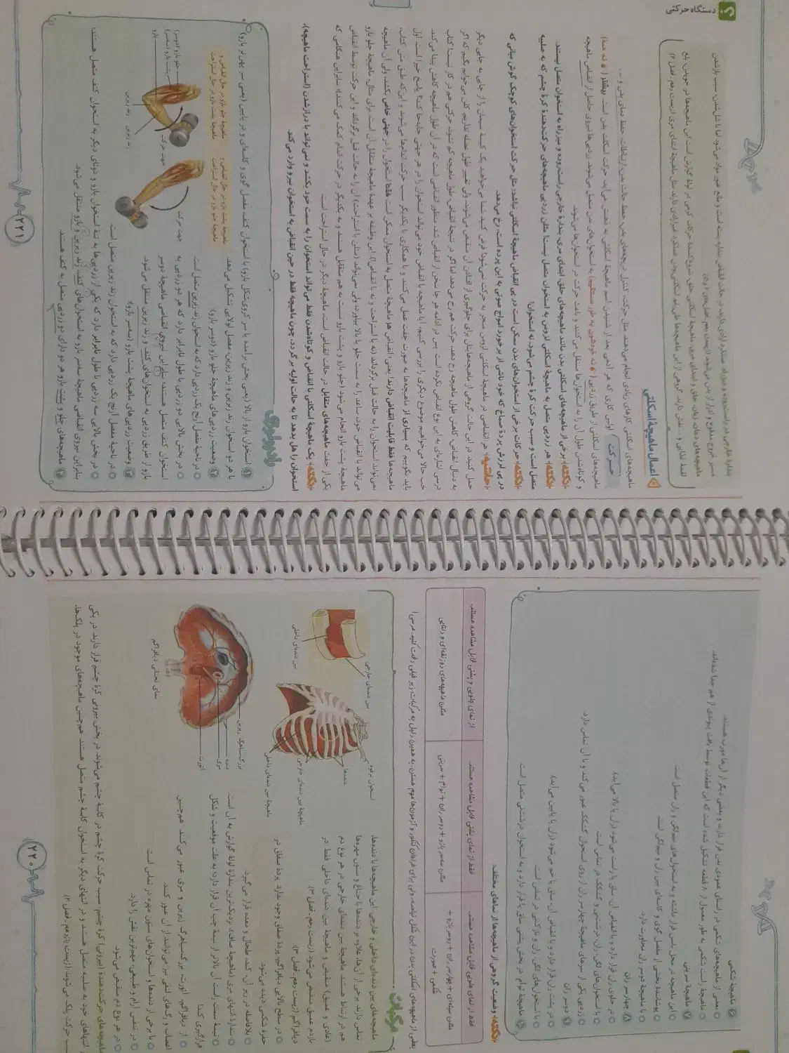 کتاب زیست یازدهم تجربی|کتاب و مجله آموزشی|بهارستان, |دیوار