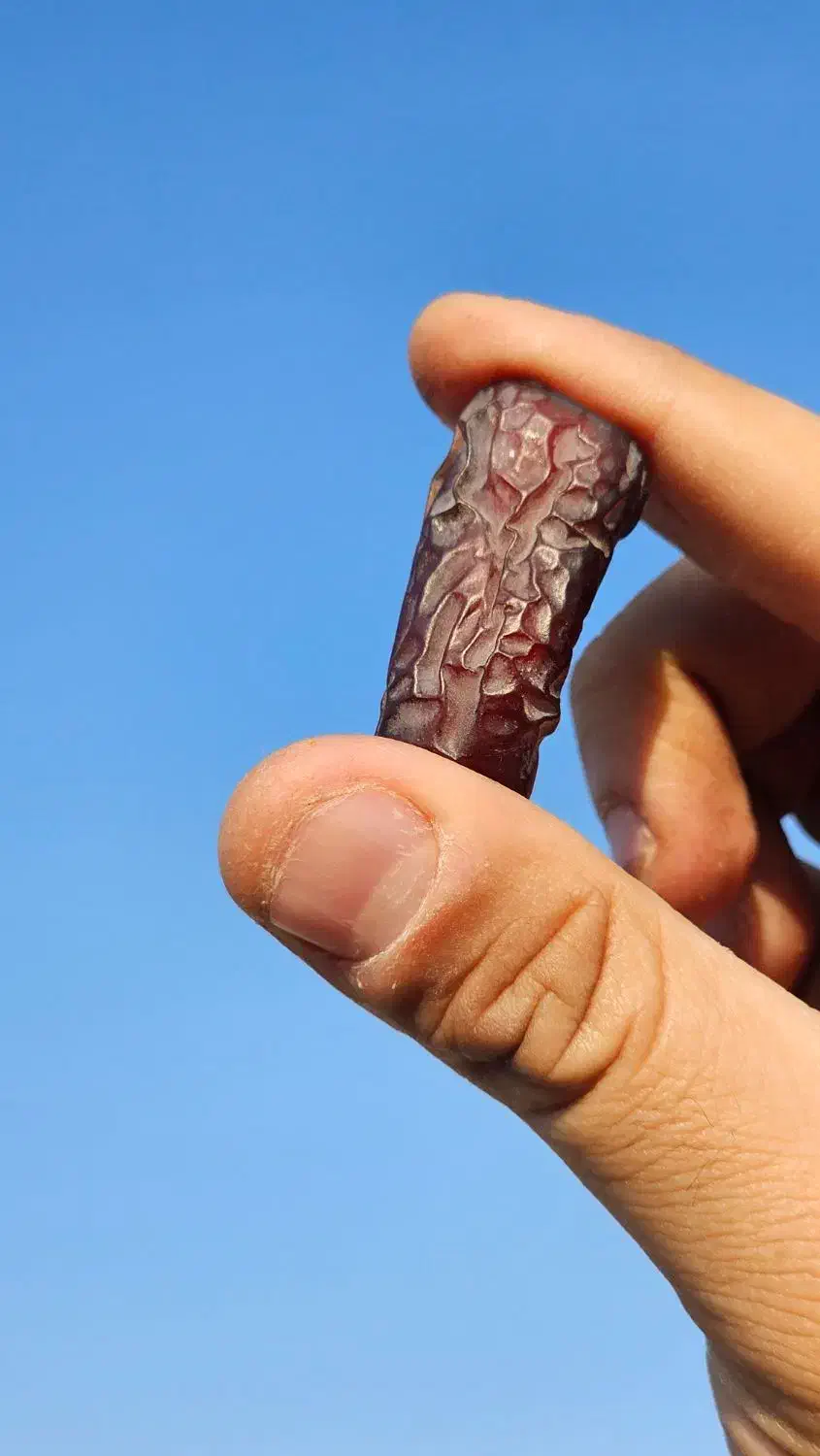 فروش تناژ خرما پیارم|خوردنی و آشامیدنی|اوز, |دیوار