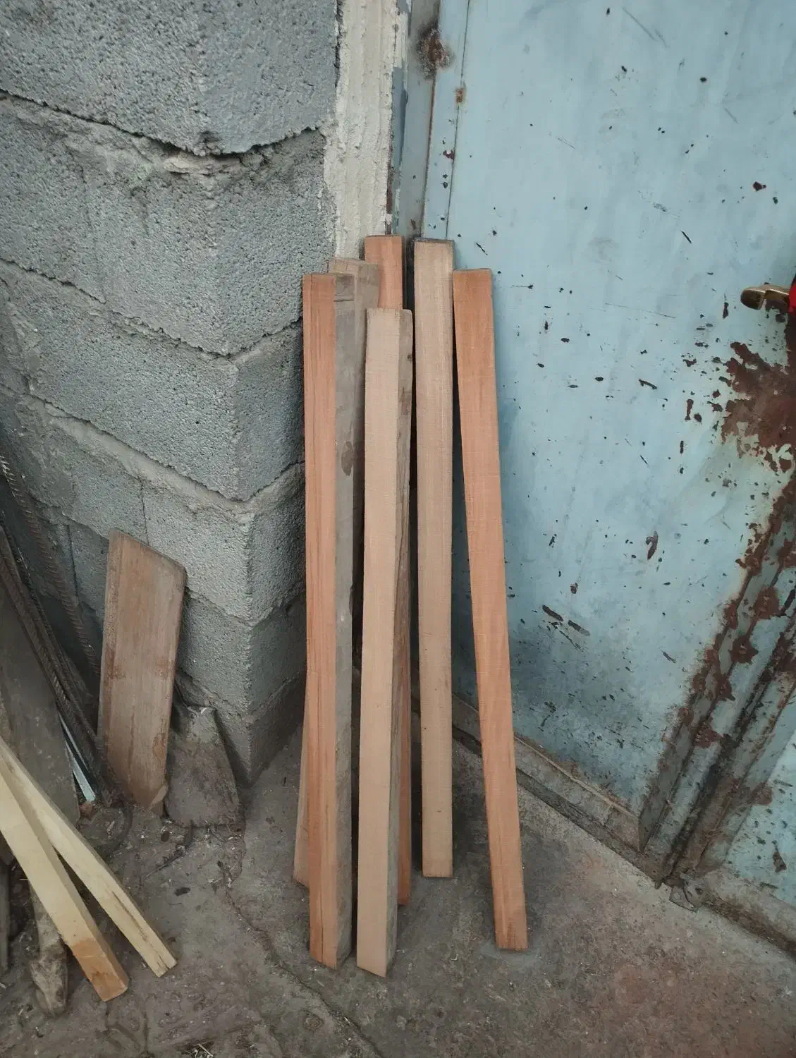 چوب راش ترکیه برای قفس سازی|لوازم جانبی حیوانات|بناب, |دیوار