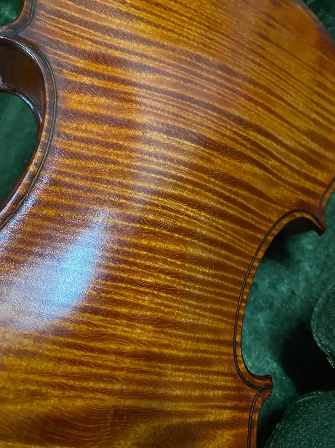 ویولن دست ساز|ویولن|رشت, کوی فکوری|دیوار