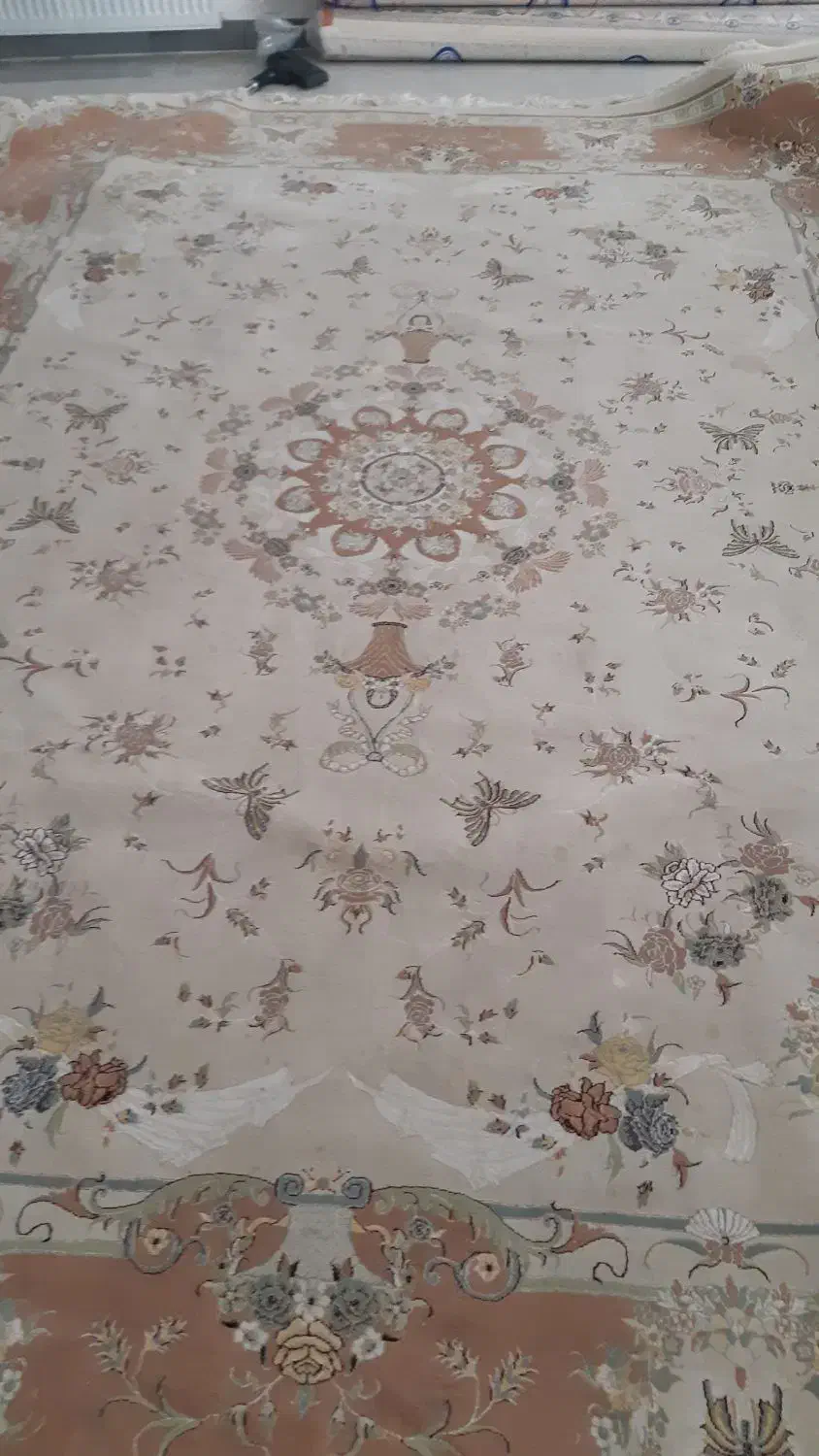 دوعدد فرش دوازده متری|فرش|همدان, |دیوار