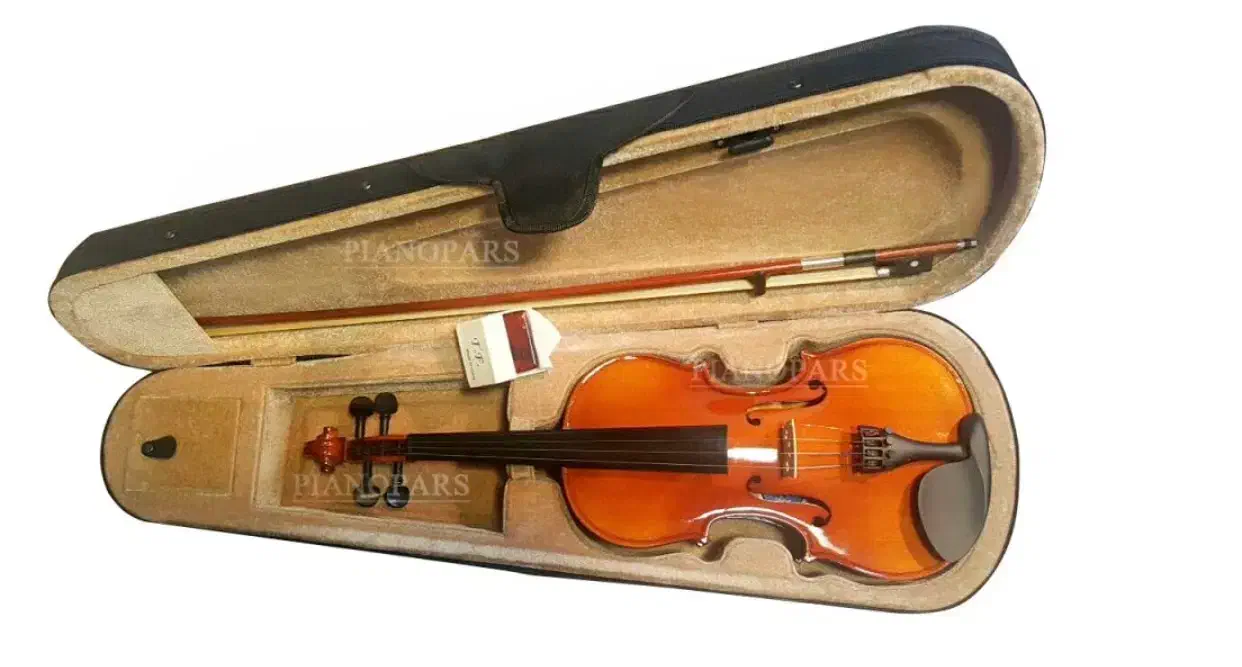 ویولن T.F|ویولن|شیراز, میرزاکوچک خان|دیوار