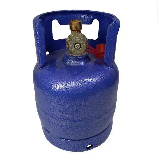 ۳ عدد پیک نیک ۱کیلویی|اجاق گاز و لوازم برقی پختوپز|بیرجند, |دیوار