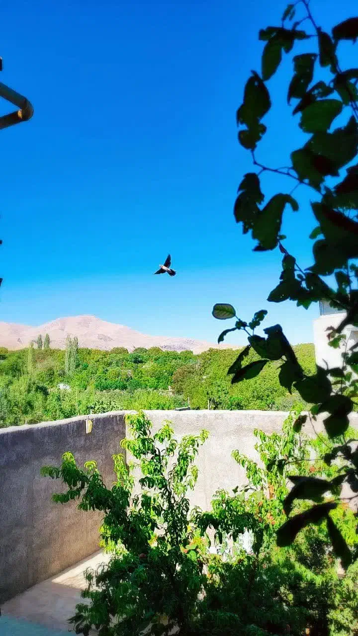 خانه باغ|فروش خانه و ویلا|قم, آزادگان|دیوار