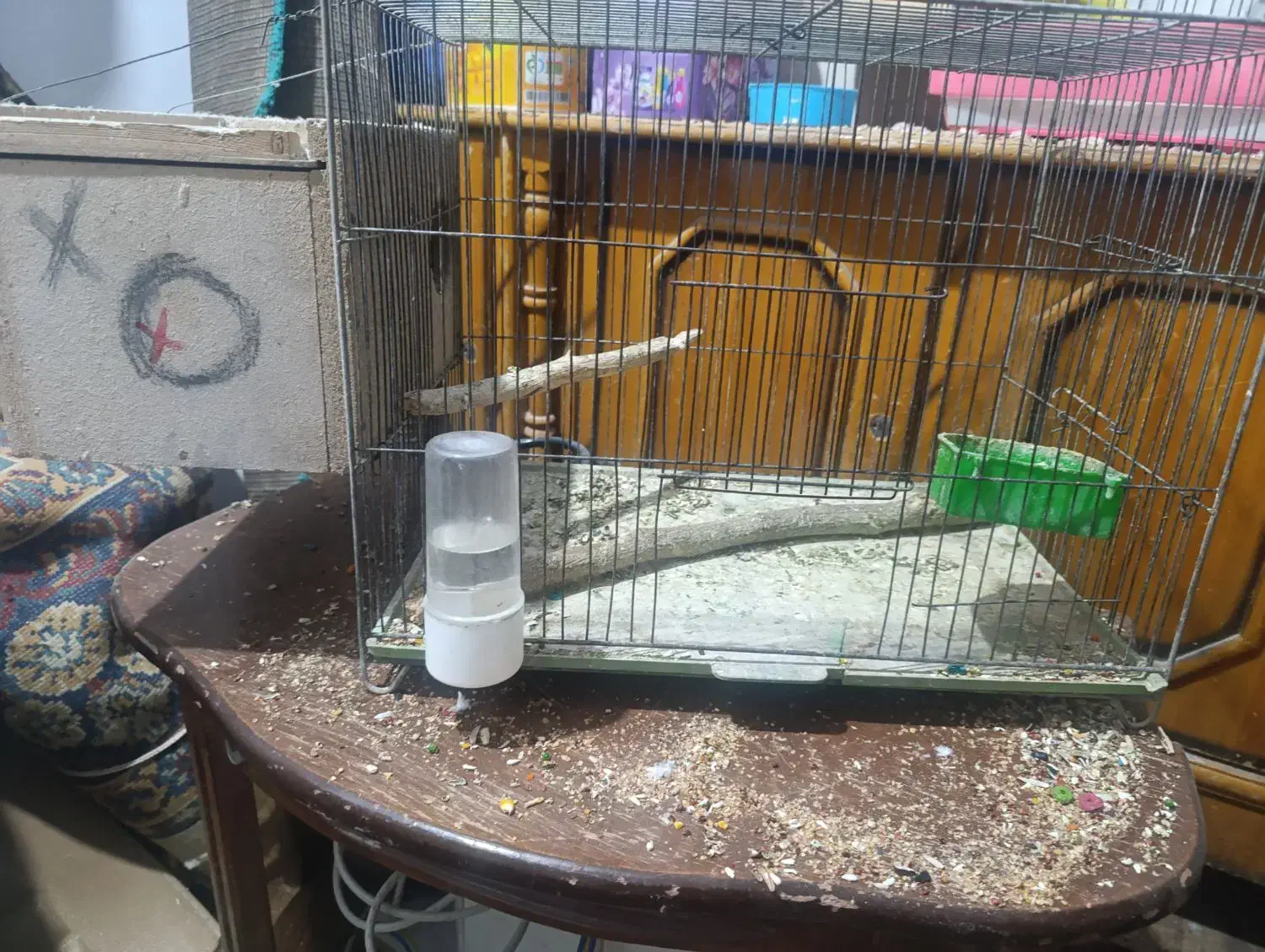 قفس و وسایل پرنده|لوازم جانبی حیوانات|امیدیه, |دیوار