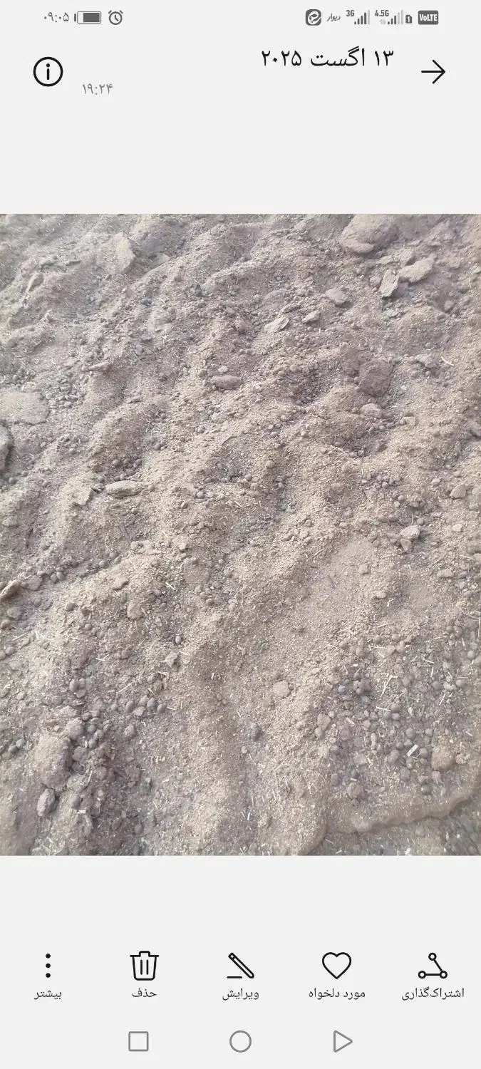 کود گوسفند|خدمات باغبانی و درختکاری|نجف‌آباد, حومه نجف آباد|دیوار