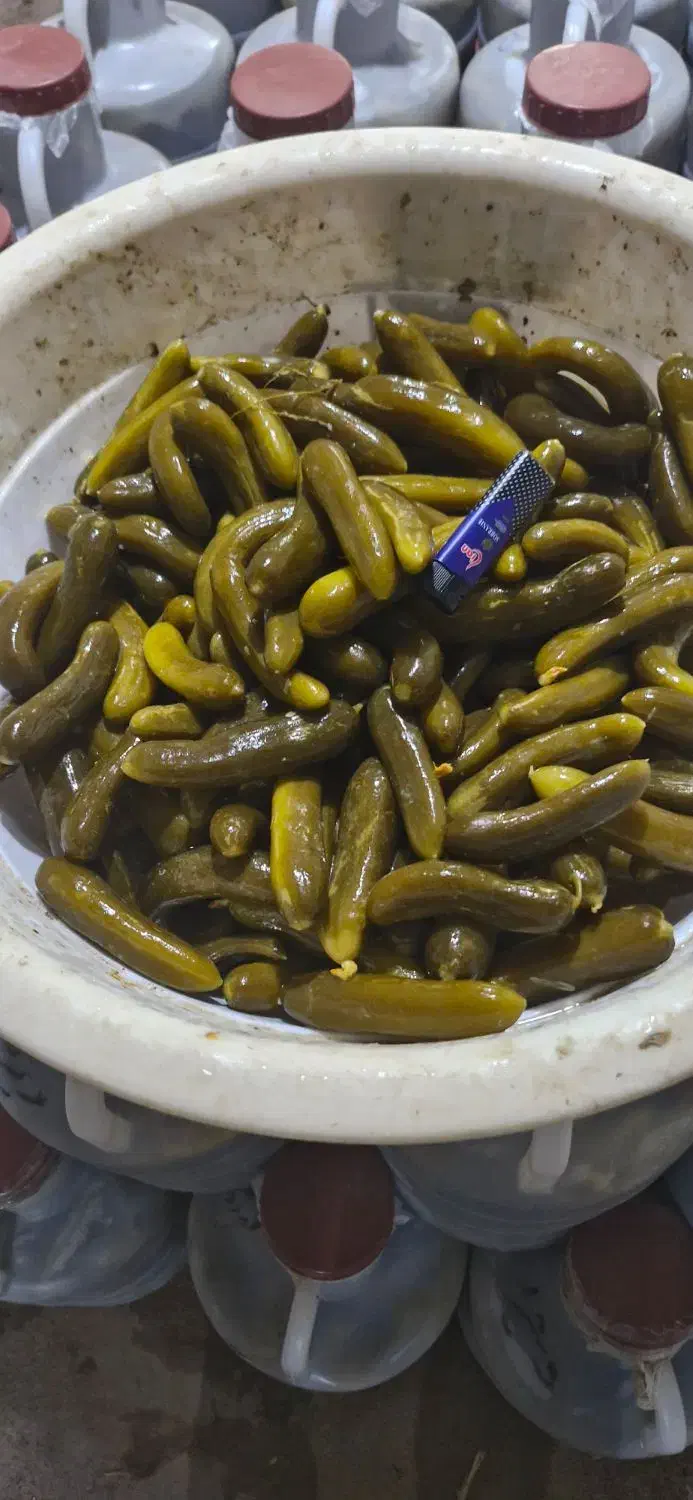 خیارشور سراب شربیان|عمده‌فروشی|مهربان, |دیوار