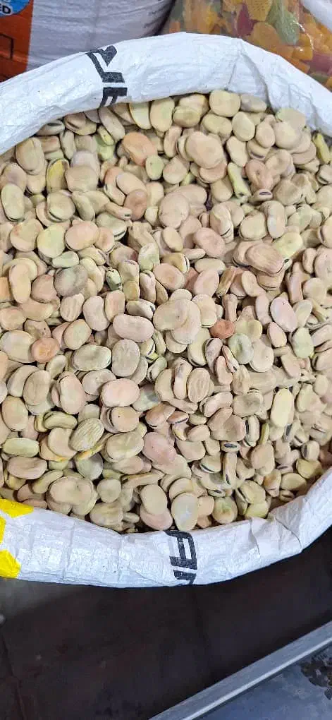 باقله کاشت|خدمات باغبانی و درختکاری|شوشتر, |دیوار