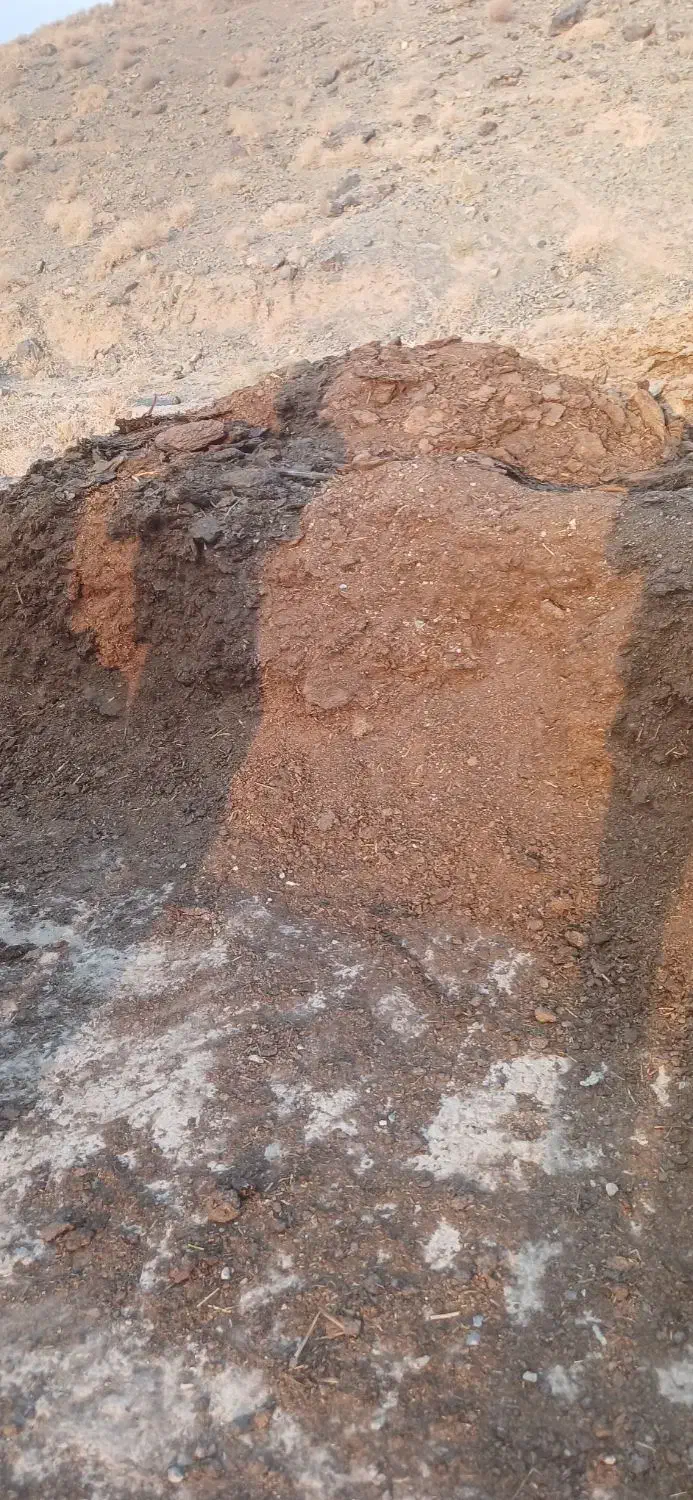 کود گاو|گل و گیاه طبیعی|بیرجند, |دیوار