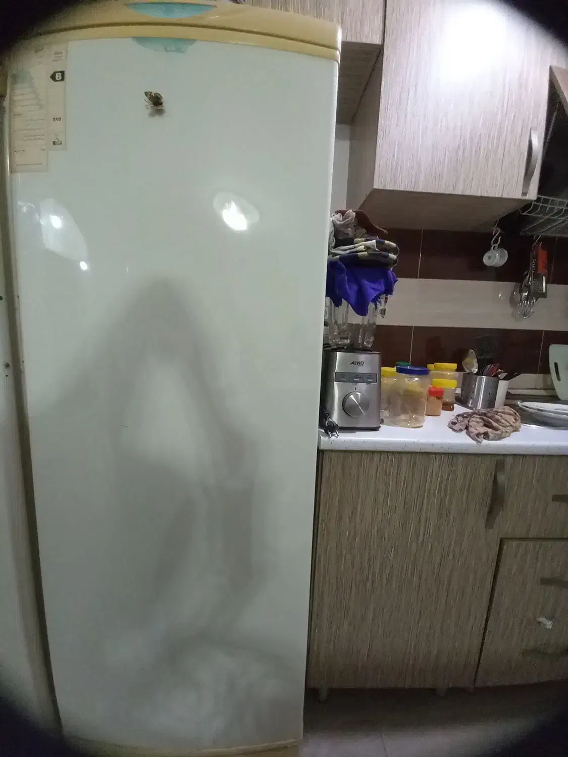 یخچال پارس|یخچال و فریزر|رشت, شهرک صبا|دیوار