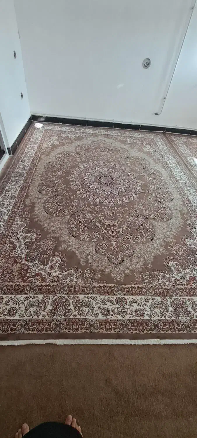 قالی کرمی و گردویی|فرش|سرپل ذهاب, |دیوار