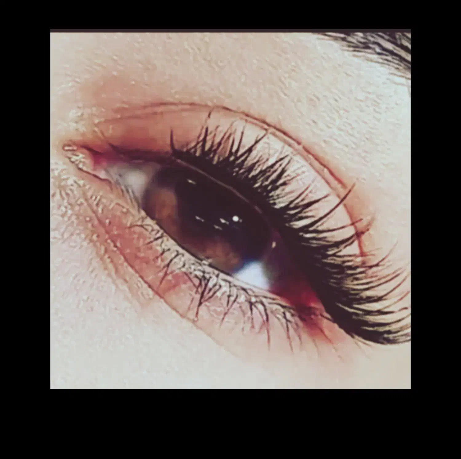 تخفیف یلدایی کاشت مژه هیدن|خدمات آرایشگری و زیبایی|علی‌آباد کتول, |دیوار