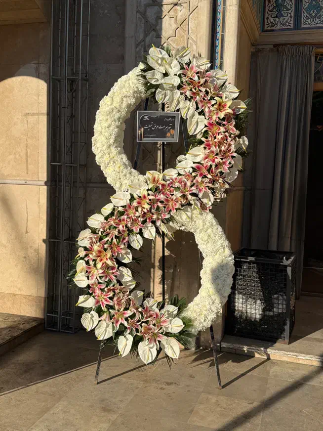 گل ختمی|گل و گیاه طبیعی|تهران, شهرک محلاتی|دیوار