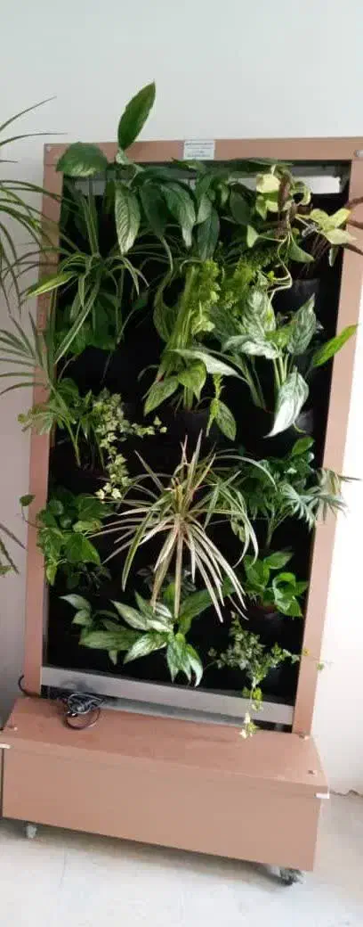 دیوار سبز گرین وال  هوشمند|خدمات پیشه و مهارت|تهران, شهرک کوهسار|دیوار