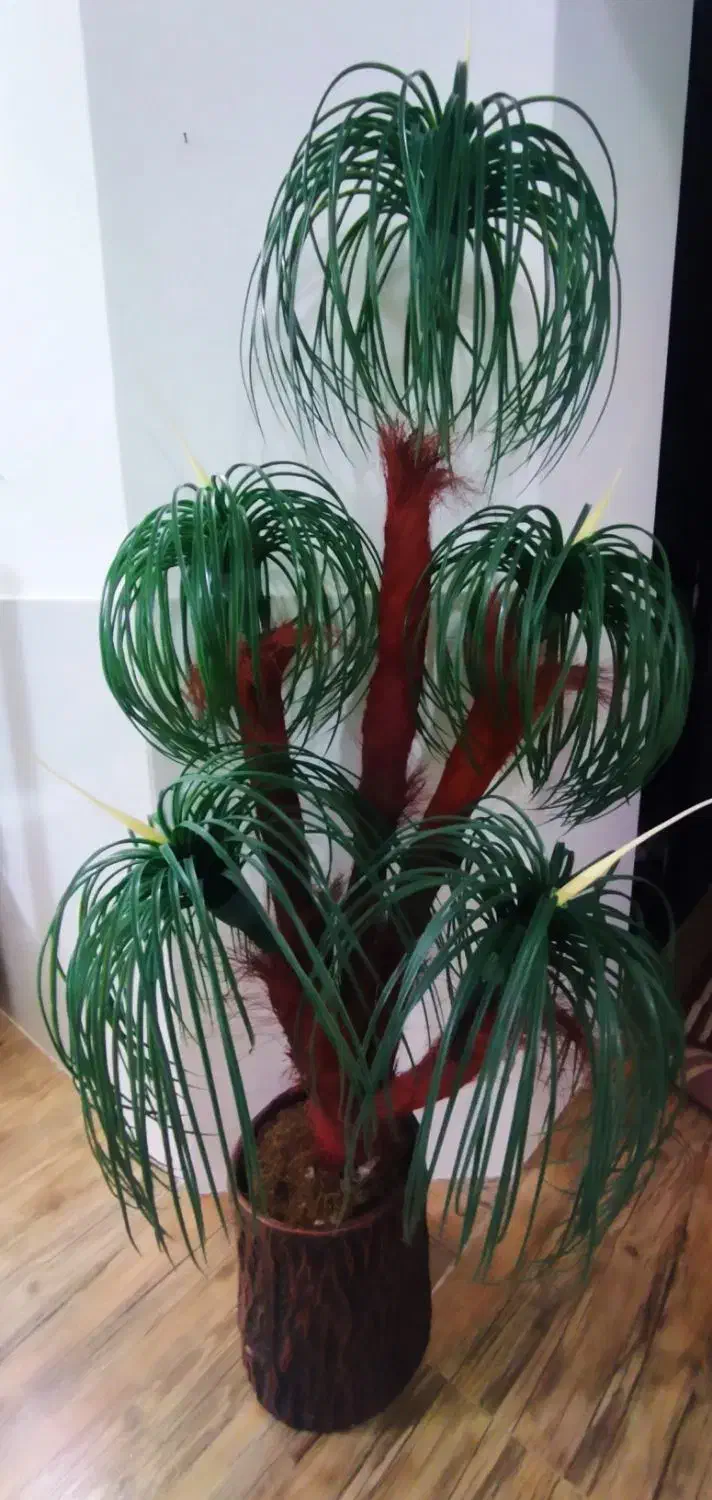 درختچه مصنوعی|گل مصنوعی|بجنورد, |دیوار