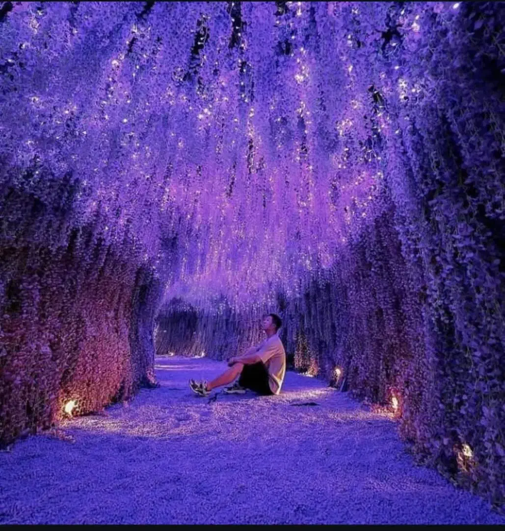 همونه میخام