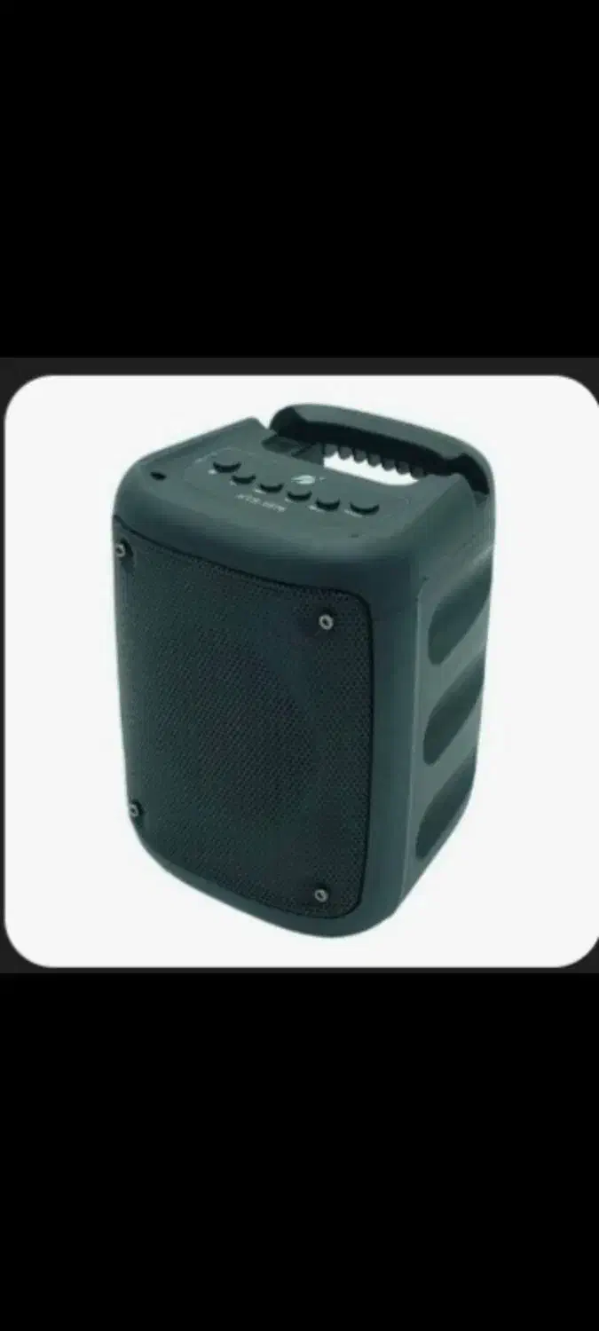 جوجه کبوتر معاوضه|پرنده|حمیدیا, |دیوار