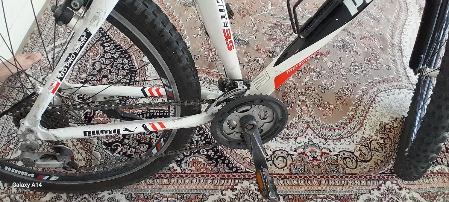 دوچرخه ۲۶|دوچرخه، اسکیت، اسکوتر|محمدشهر, محمدشهر|دیوار