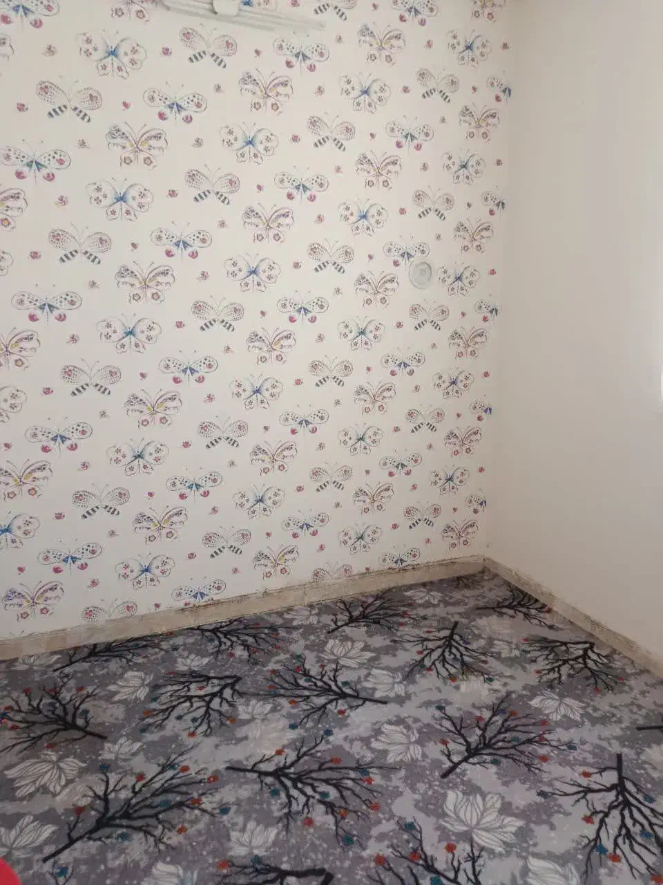 اجاره منزل مسکونی در خیرآباد|اجارهٔ خانه و ویلا|معصومیه, |دیوار