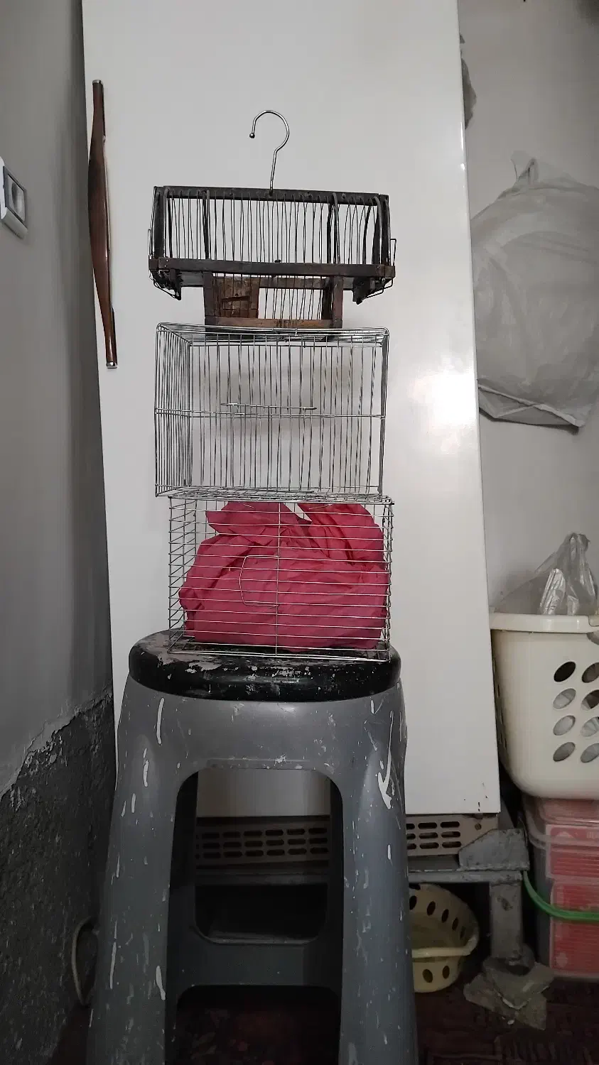 لوازم پرنده|لوازم جانبی حیوانات|سردشت, |دیوار