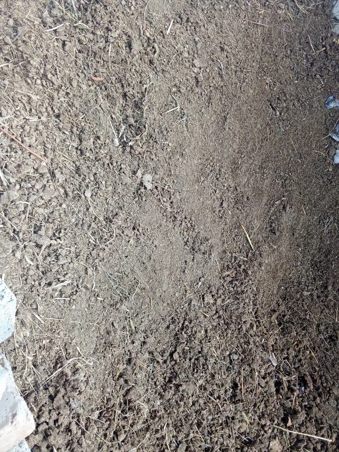 پهن|لوازم جانبی حیوانات|انزل, |دیوار