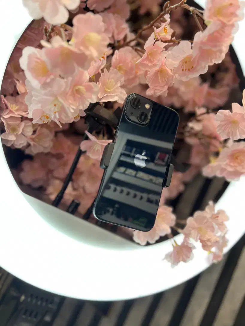 iPhone 13|موبایل|مشهد, طلاب|دیوار