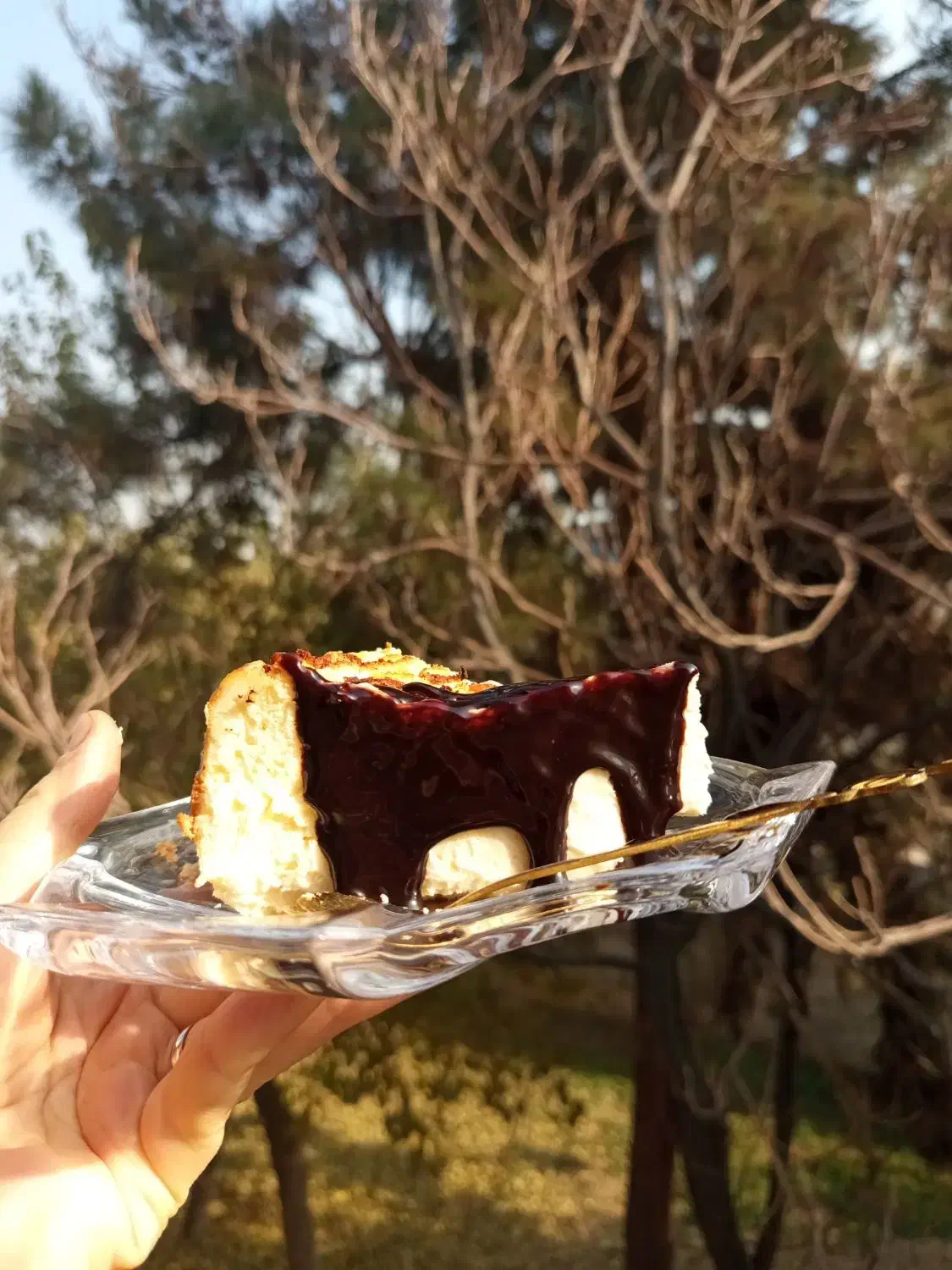 چیز کیک|خوردنی و آشامیدنی|تهران, تختی|دیوار