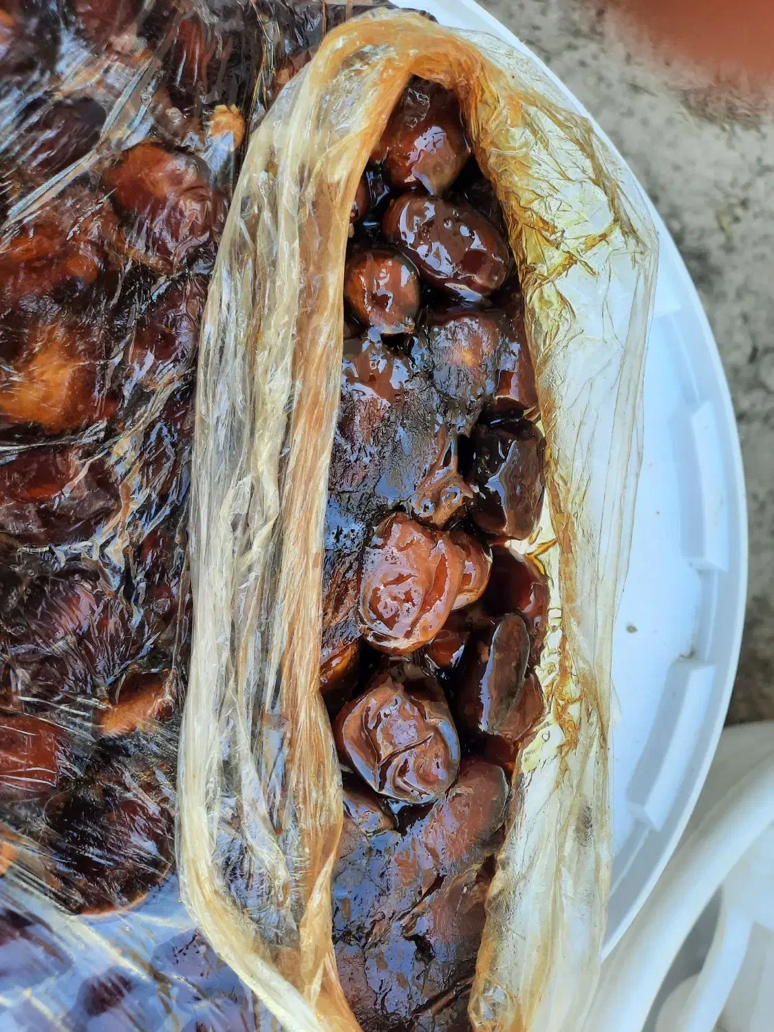 بهترین خرما هندیجان|خوردنی و آشامیدنی|بندر ماهشهر, |دیوار