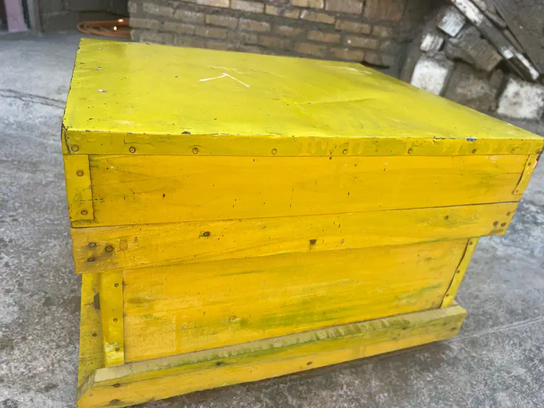 فروش فوری بیست عدد کندوی نو|لوازم جانبی حیوانات|دهدشت, |دیوار