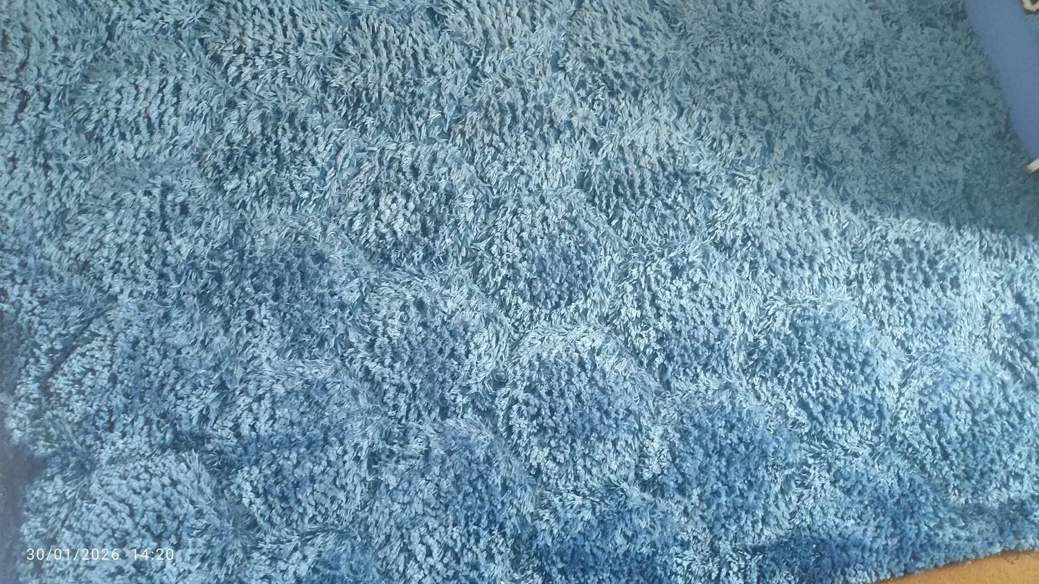 قالیچه|فرش|کرمان, |دیوار