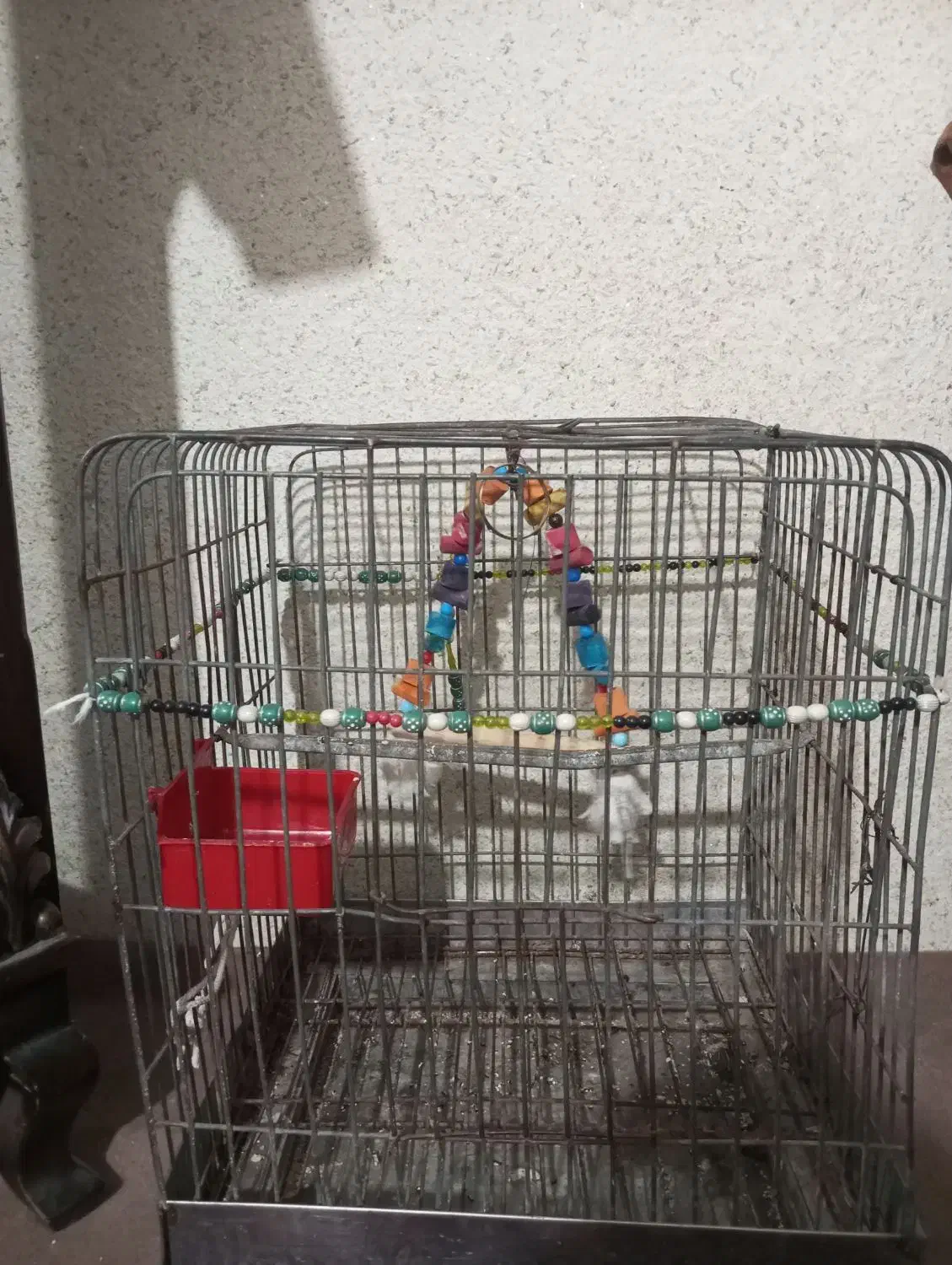 قفس مخصوص عنوان پرندگان بزرگ و کوچک|لوازم جانبی حیوانات|میناب, |دیوار