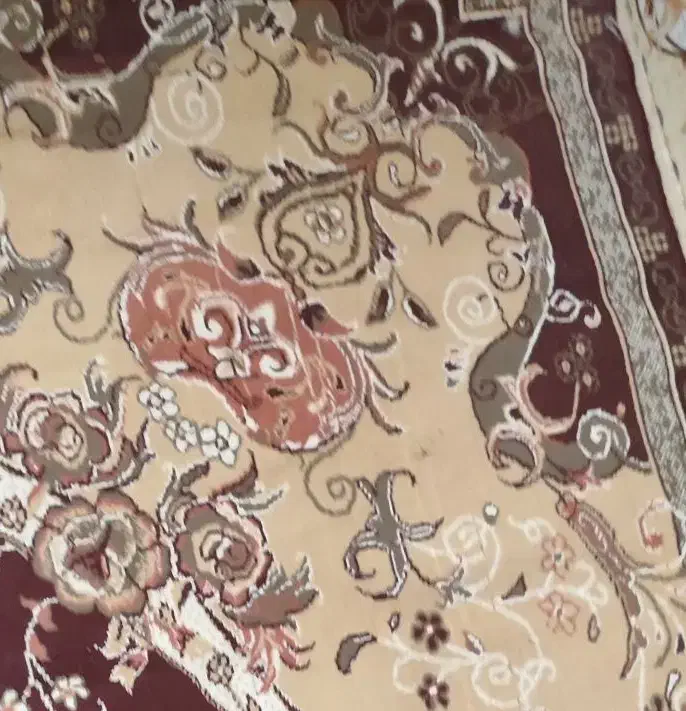 فرش|فرش|یاسوج, |دیوار