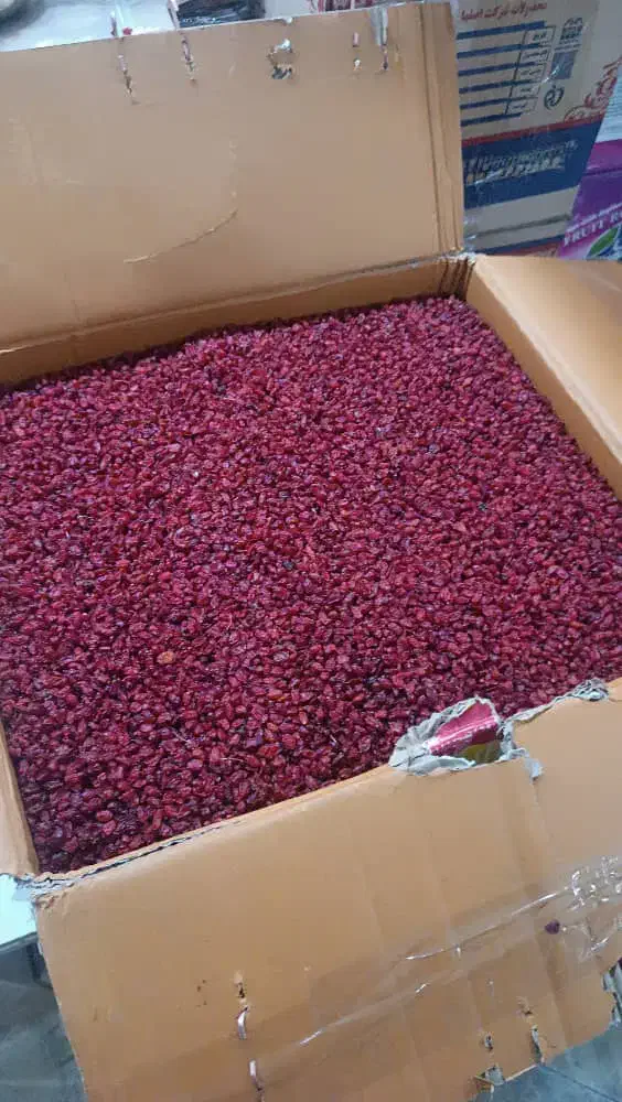 زرشک و عسل و آلو اعلا و امسالی و قهوه و مشتقات|خوردنی و آشامیدنی|پاکدشت, پاکدشت (مامازند)|دیوار