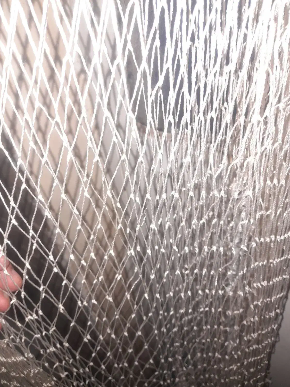 تور پرتابی نخی|ماهیگیری|شوشتر, |دیوار