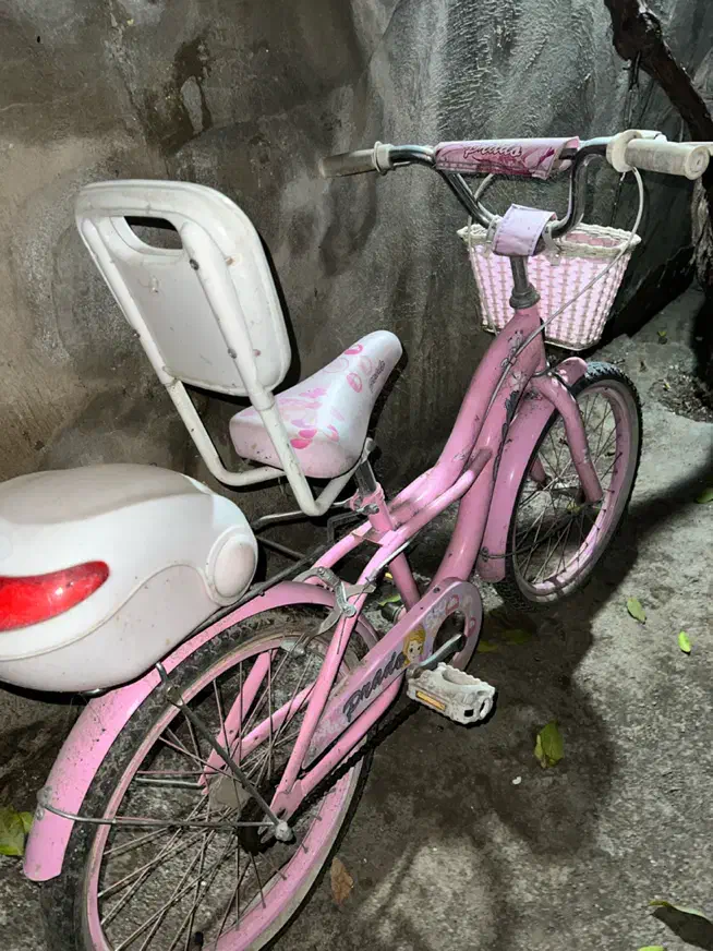 دوچرخه بچگانه صورتی ۱۶|دوچرخه، اسکیت، اسکوتر|گرگان, |دیوار