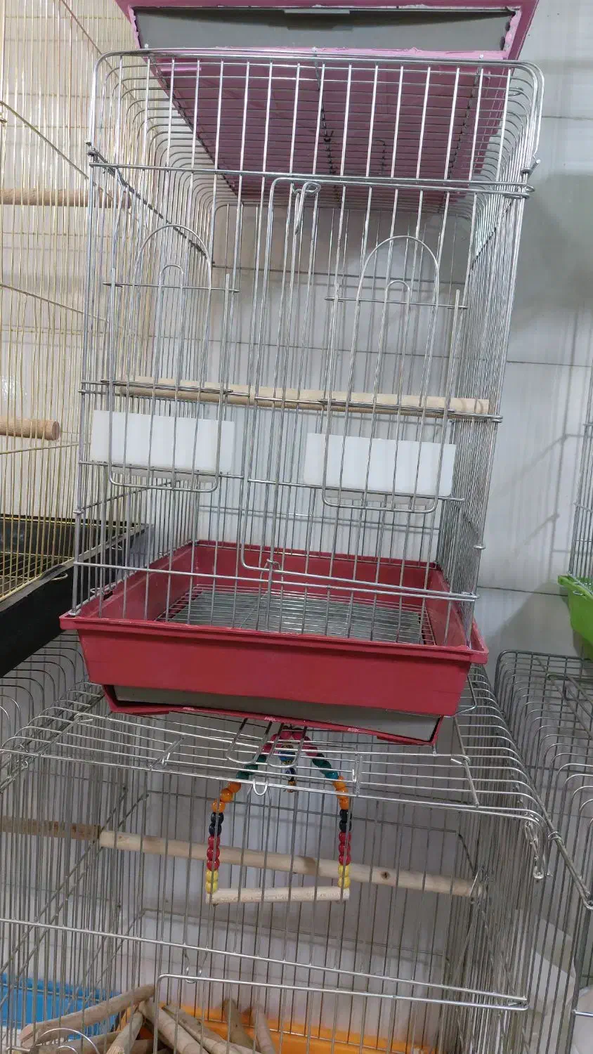 قفس و دان پرندگان زینتی|لوازم جانبی حیوانات|زنجان, |دیوار