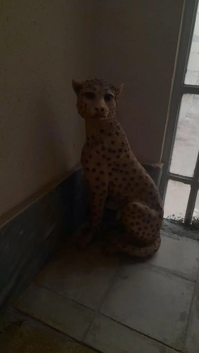 پلنگ|مجسمه، تندیس، ماکت|شیراز, شهرک سراج|دیوار