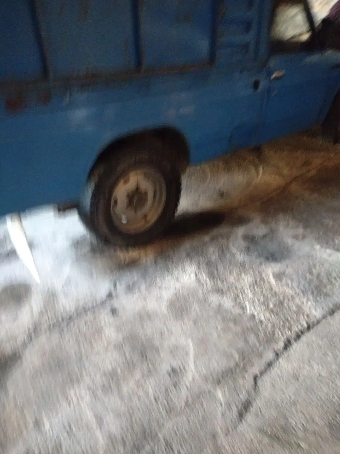 نیسان81|خودرو سواری و وانت|مرند, |دیوار