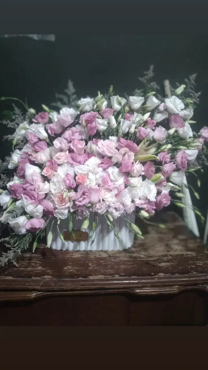 گل برای روز عشق همین الان براش سفارش بده|گل و گیاه طبیعی|شاهین‌شهر, عطار|دیوار