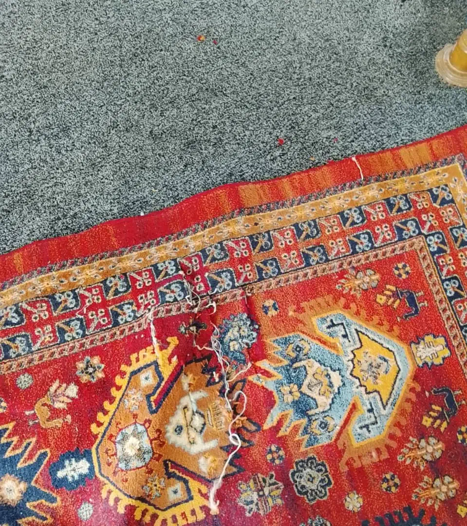 فرش|گلیم، جاجیم، گبه|یاسوج, |دیوار