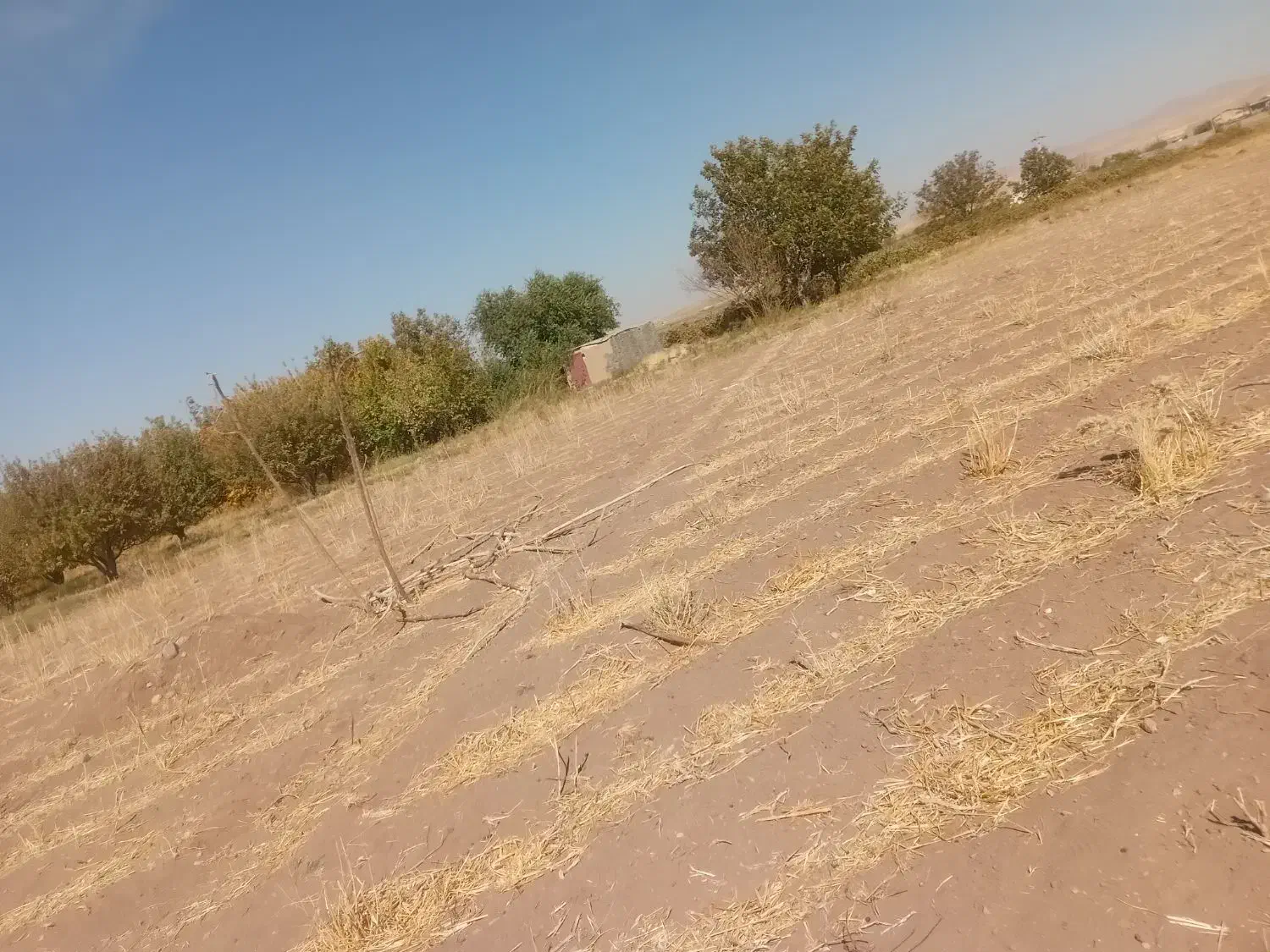 زمین زراعی کشاورزی حاصلخیز نزدیک آب|فروش زمین و ملک کلنگی|باروق, |دیوار