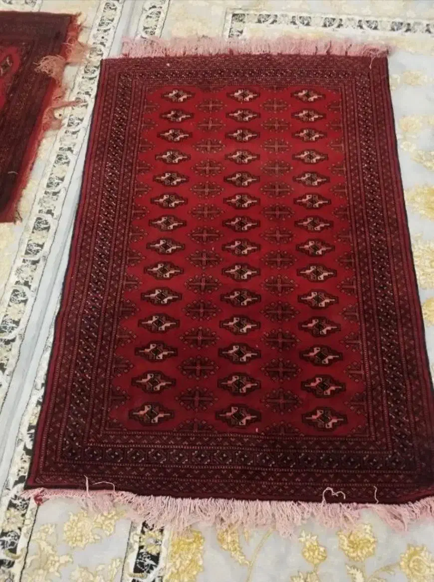 قالیچه دستبافت|فرش|زاهدان, |دیوار