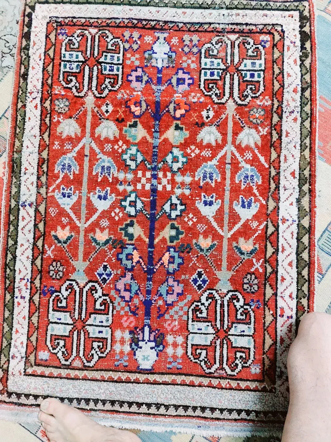 قالیچه|فرش|آباده, |دیوار