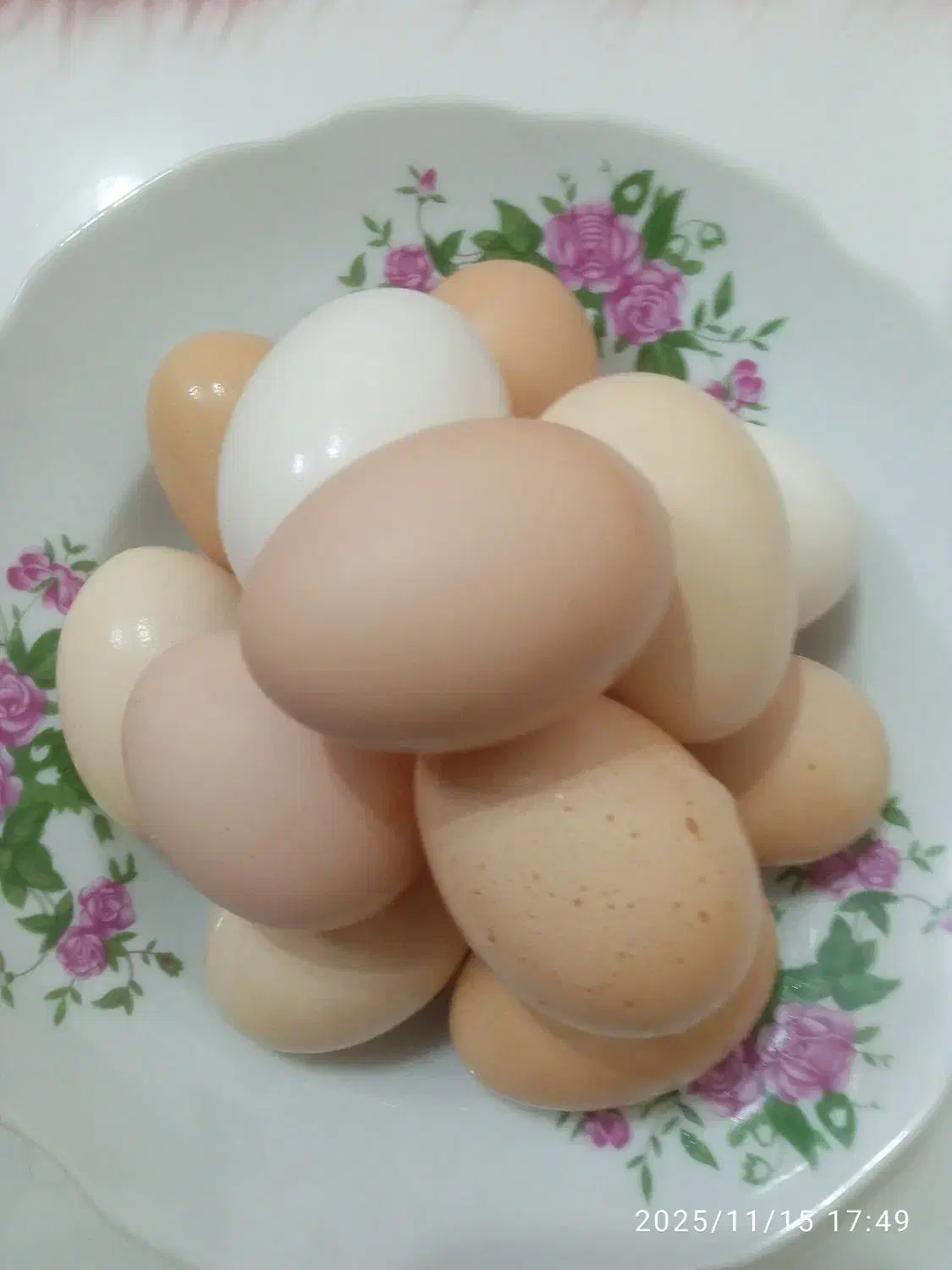 تخم مرغ محلی|خوردنی و آشامیدنی|لاهیجان, لیالستان|دیوار