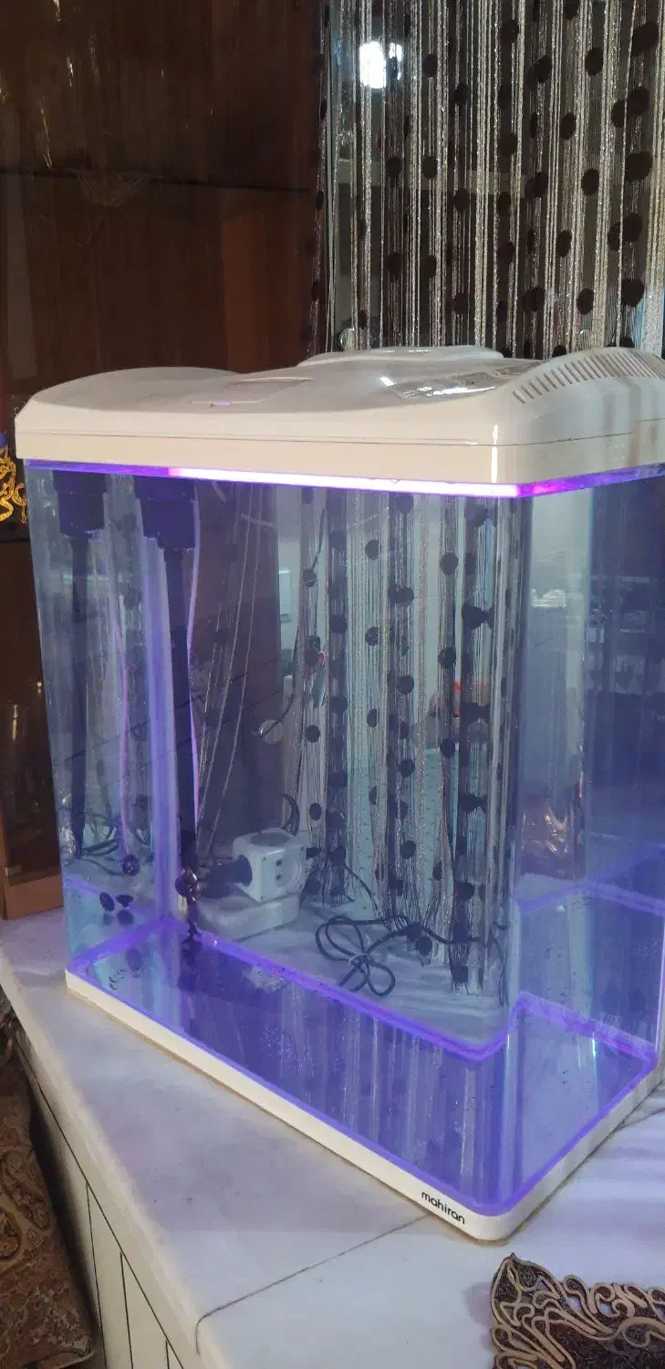 آکواریوم ماهیران|ماهی|اصفهان, رهنان|دیوار