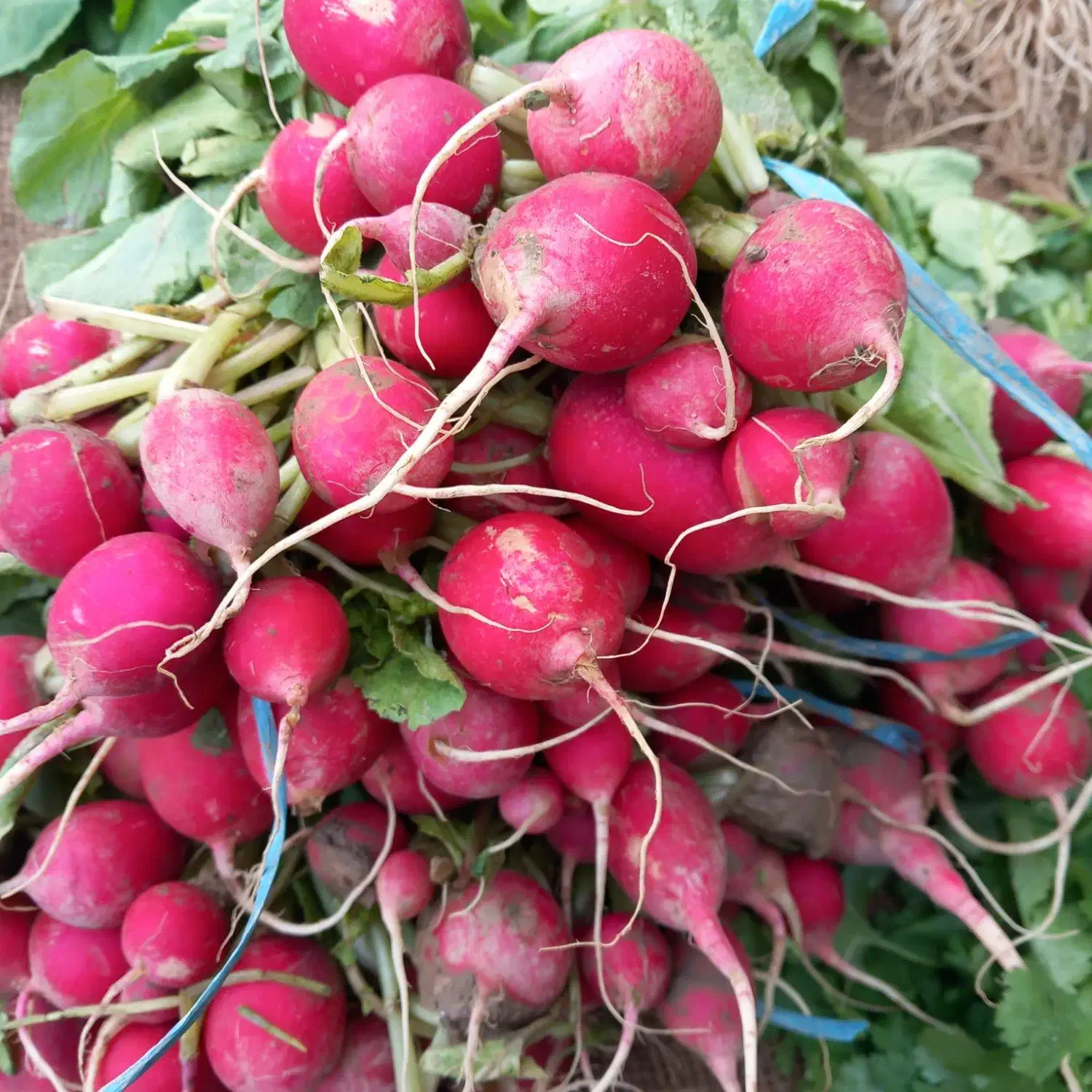 سبزی تازه - کلی - جزیی|خوردنی و آشامیدنی|تهران, افسریه جنوبی|دیوار